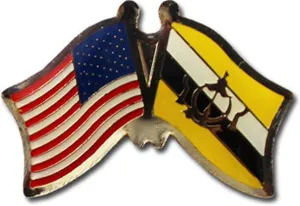 AES Wholesale Pack of 6 USA American & Brunei Country Flag Bike Hat Cap lapel Pin