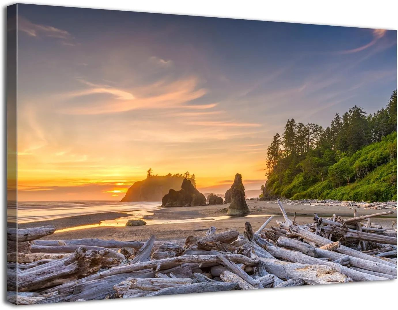 AIYISU Beach Canvas Wall Art National Park Posters Wall Decor Sunset Coastal Bathroom Decor Washington Olympic Beach Landscape Canvas Prints Painting for Living Room Bedroom Home Decoration 16x24