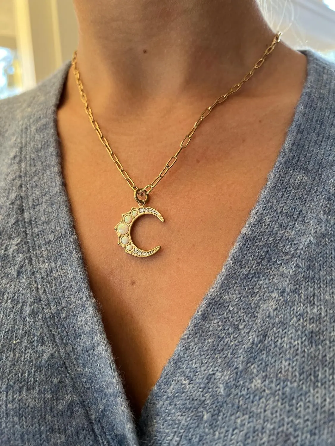 Alex and Ani Faceted Rolo Charm & Layering Necklace