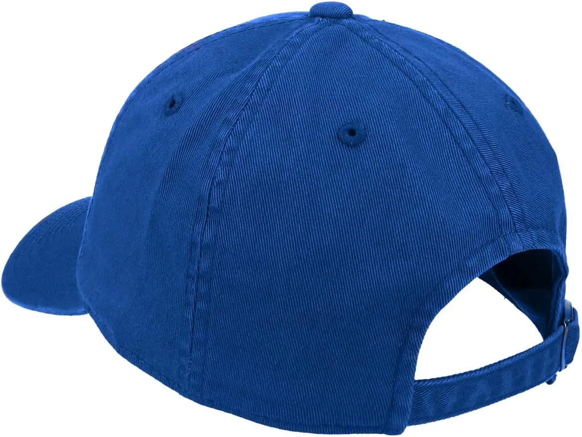 AMERICAN NEEDLE Blue Line Collection NHL National Hockey League Team Baseball Hat Adjustable Buckle Strap Dad Cap