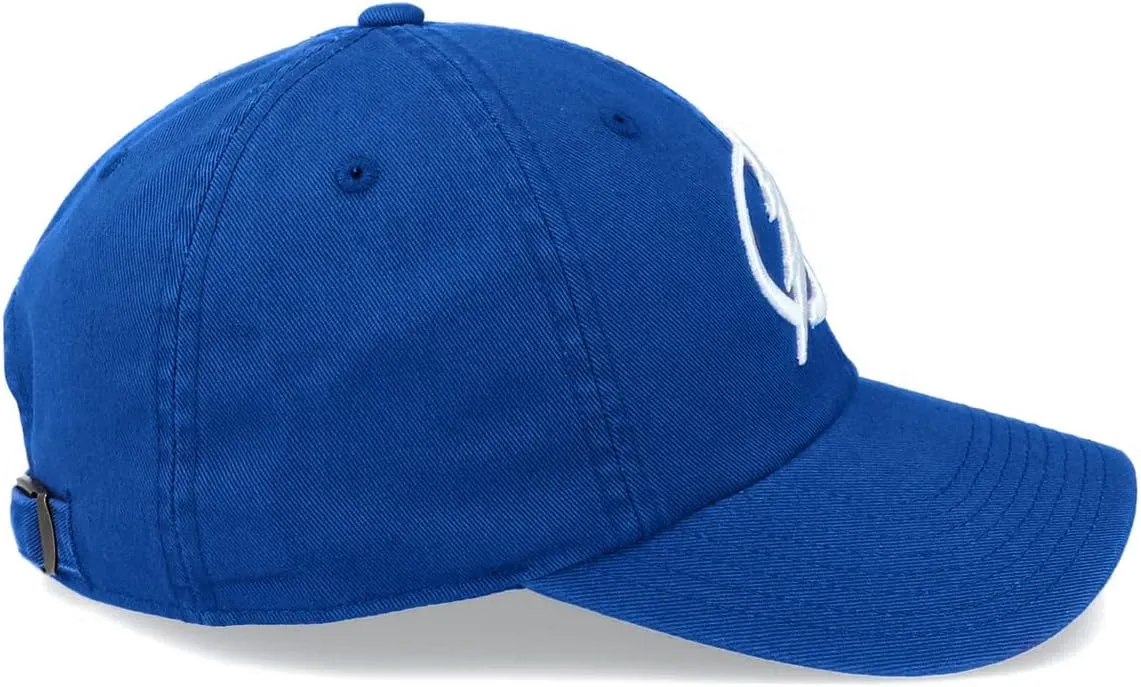 AMERICAN NEEDLE Blue Line Collection NHL National Hockey League Team Baseball Hat Adjustable Buckle Strap Dad Cap