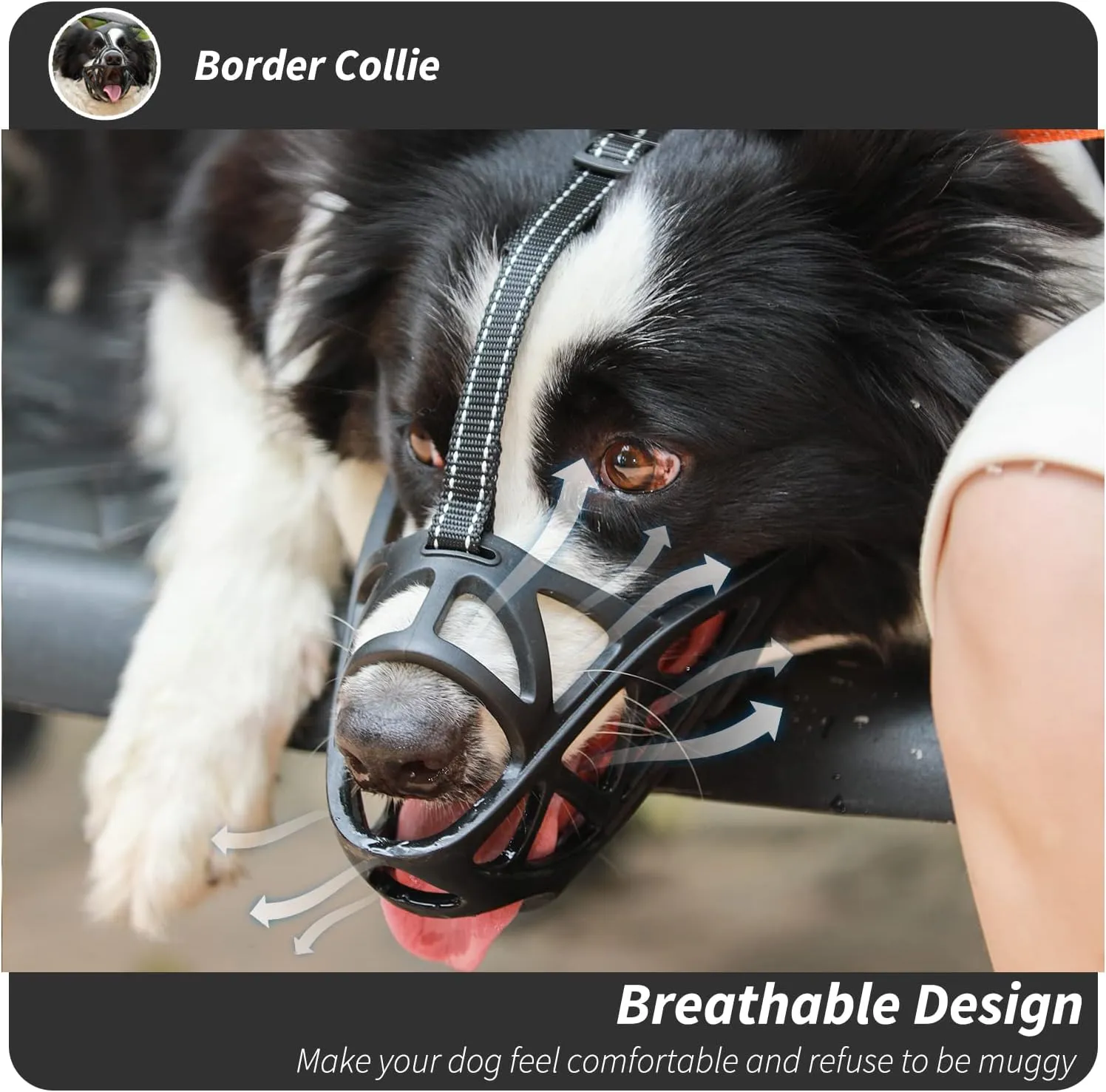 BARKLESS Dog Muzzle, Soft Basket Muzzle for Medium Large Sized Dog Labrador Golden German Shepherd Australian Shepherds, Mouth Guard for Biting Chewing Scavenging, Allow Drinking and Eating