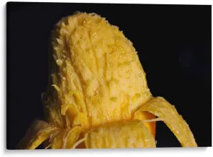 Canvas Lab Canvas Wall Art by Chef Capellini - Mango Food & Decoration - 12 x 8 in - Food Fruit Kitchen Ingredients Chef Diet Nutrition
