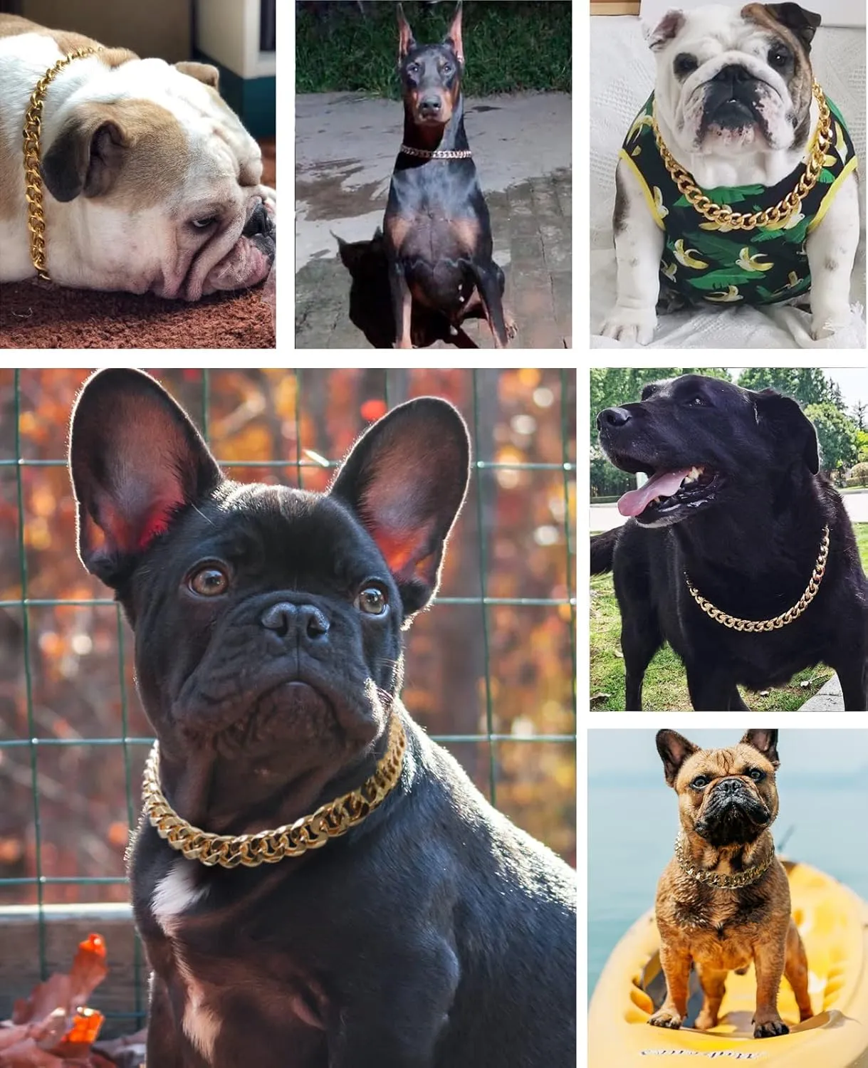 Gold Chain Dog Collar-3/4 width Cuban Link Dog Necklace, Cute Fashion Pet Collar for Pit Bulldog, Light Metal Jewelry Chain Puppy Accessories 20"