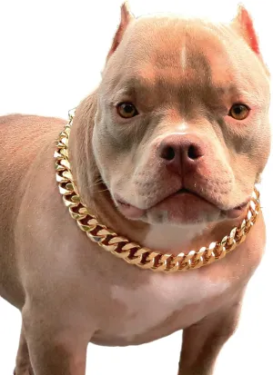 Gold Chain Dog Collar-3/4 width Cuban Link Dog Necklace, Cute Fashion Pet Collar for Pit Bulldog, Light Metal Jewelry Chain Puppy Accessories 20"