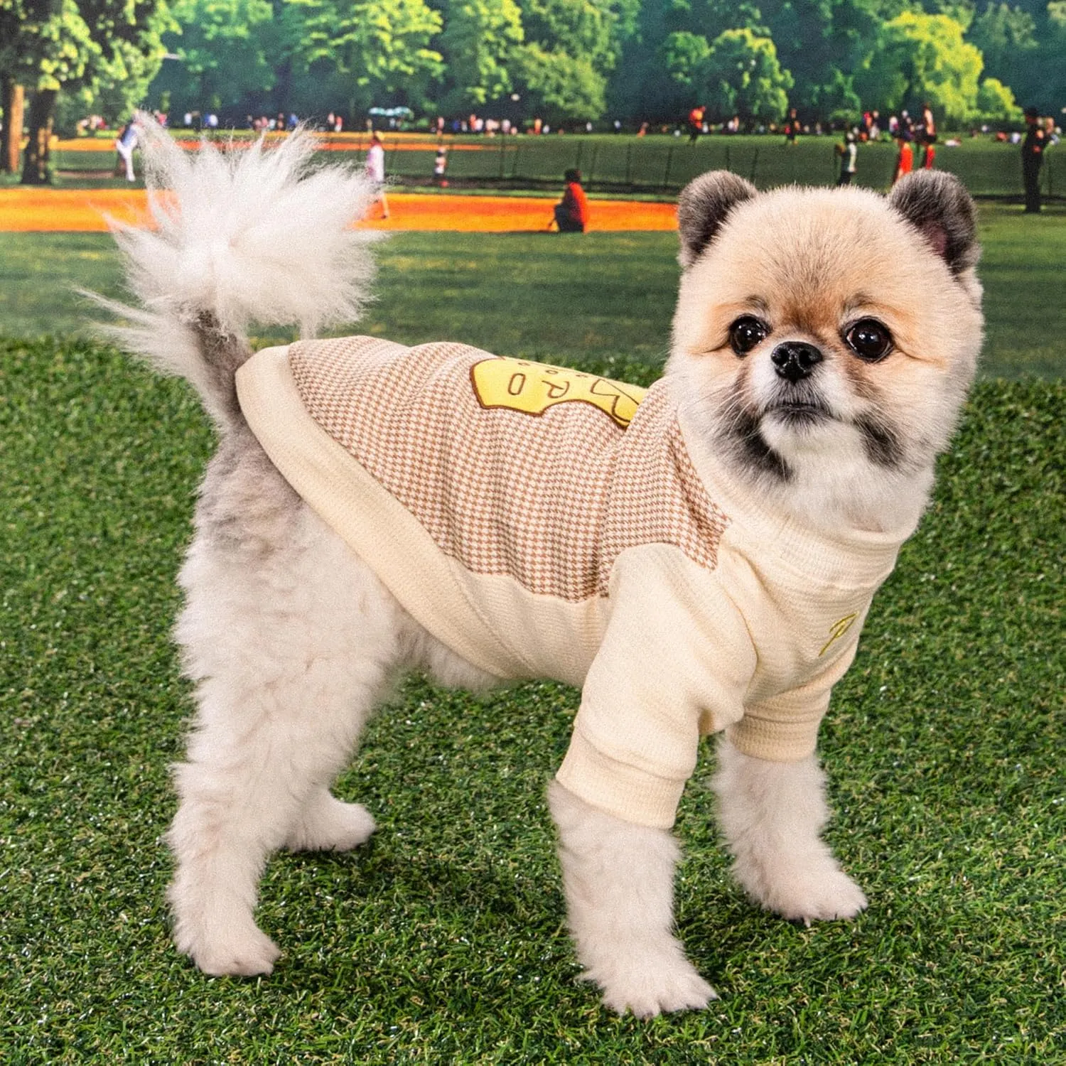 Puppia Francis Dog Shirt Round NeckTrendy Fashionable Cute Dog Apparel for Small and Medium Dogs, Beige, Medium