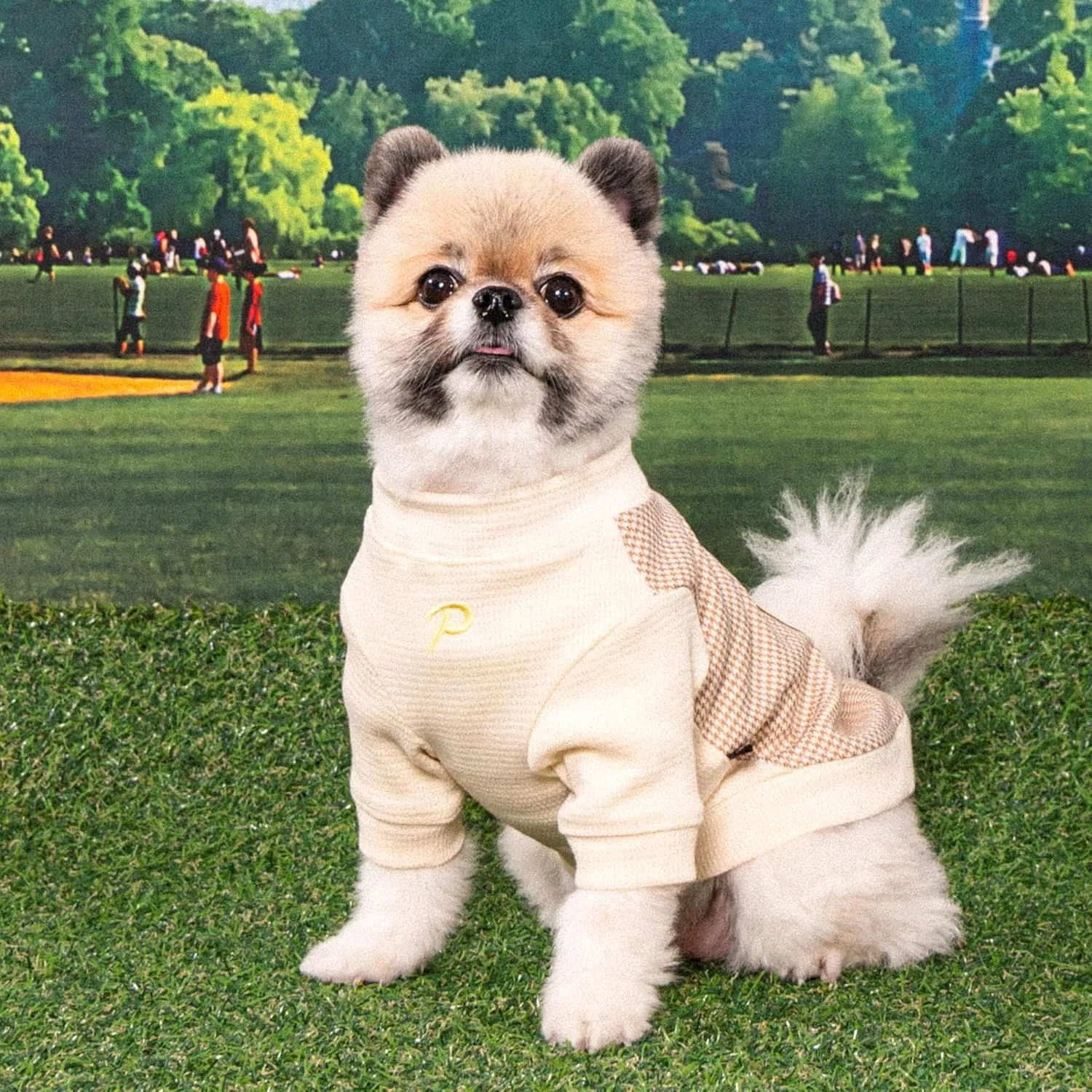 Puppia Francis Dog Shirt Round NeckTrendy Fashionable Cute Dog Apparel for Small and Medium Dogs, Beige, Medium