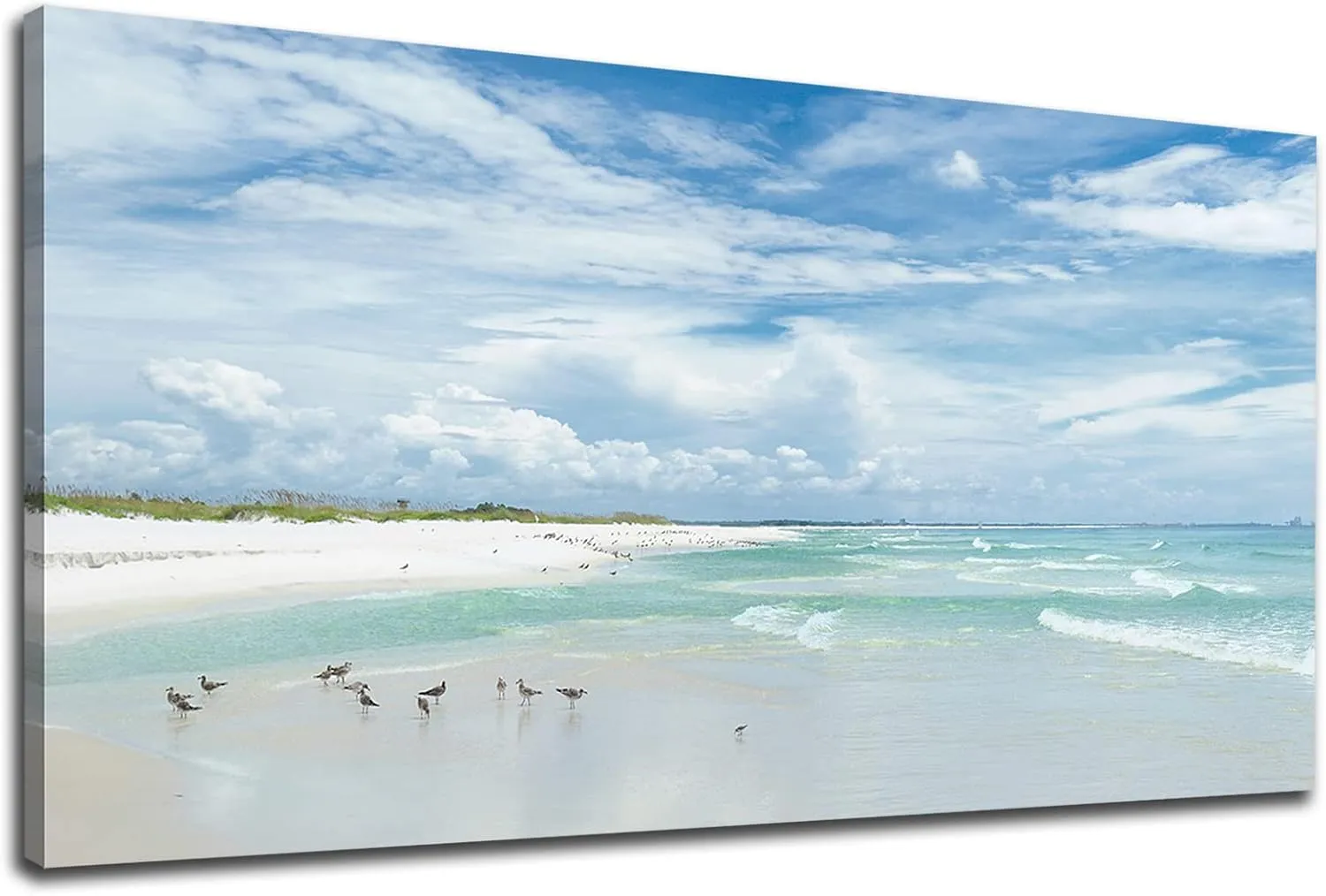 Sea Beach Canvas Wall Art Aqua Ocean Canvas Pictures Nature Wall Decor Sea Birds Coastal Landscape Canvas Prints Modern Seascape Canvas Artwork for Living Room Bedroom Office Wall Decoration 20" x 40"