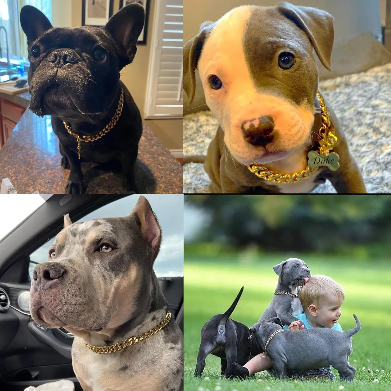 Strong Stainless Steel Gold Dog Collar,14MM Cuban Link Dog Collar - Gold Chain Dog Collar for Small Medium Dogs - 16'' Dog Necklace