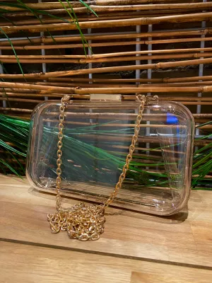 Vivica Transparent Evening Clutch