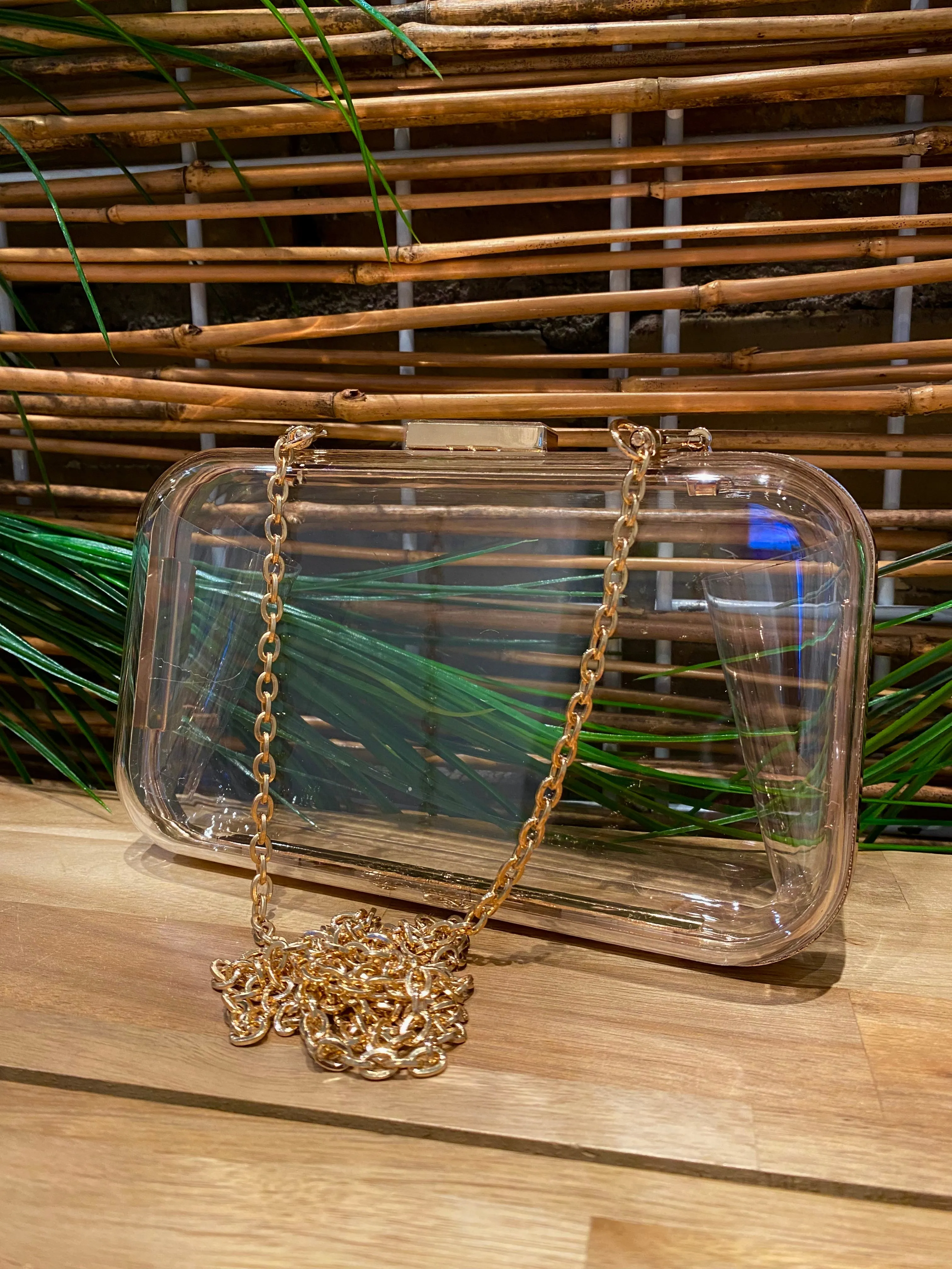 Vivica Transparent Evening Clutch