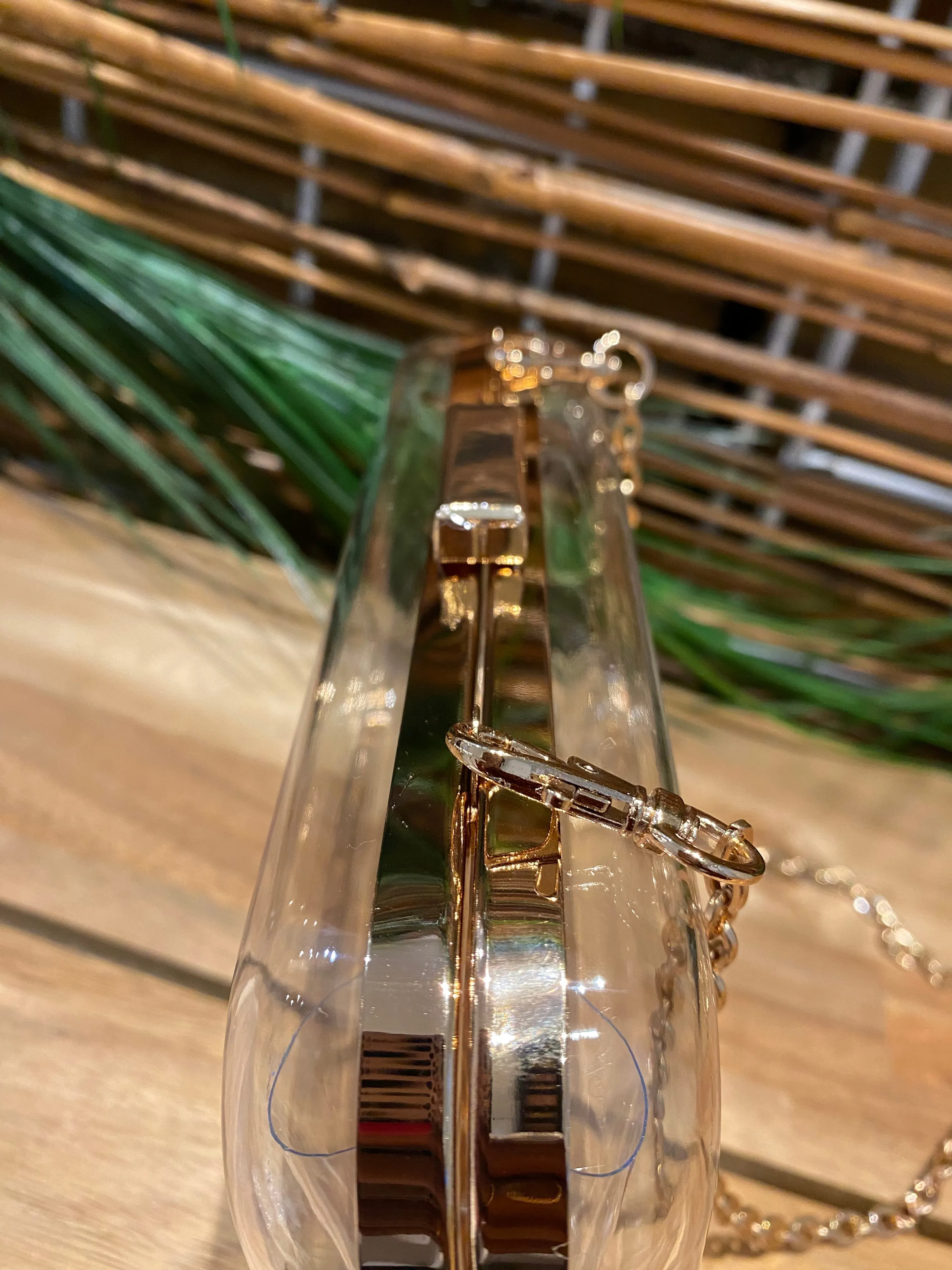 Vivica Transparent Evening Clutch